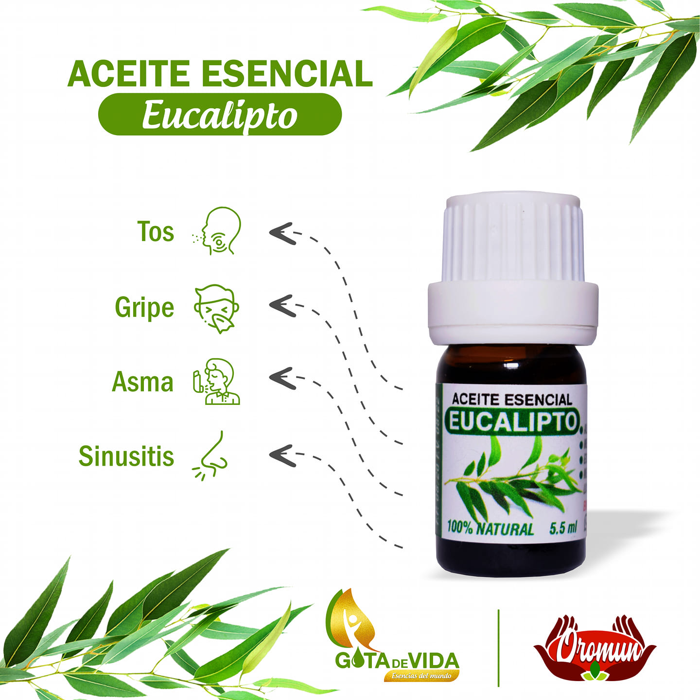 Aceite Eucalipto