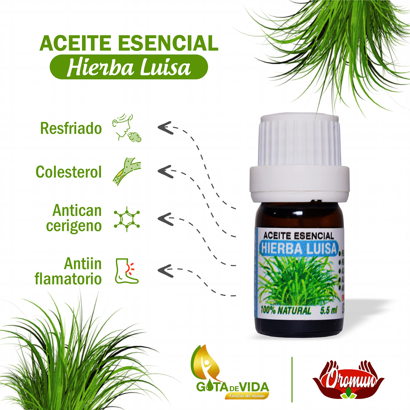 Aceite Hierba Luisa