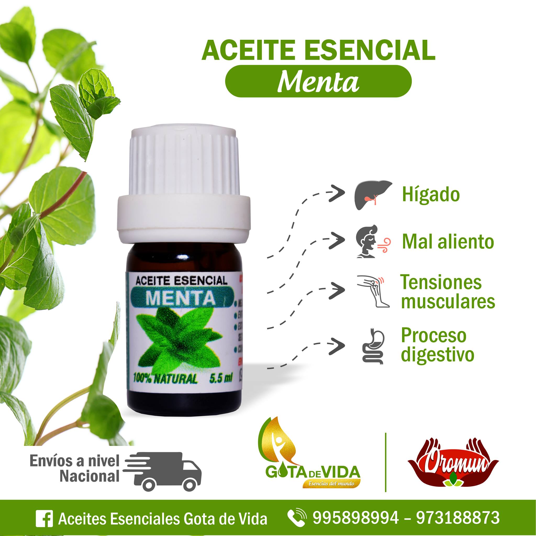 Aceite Menta