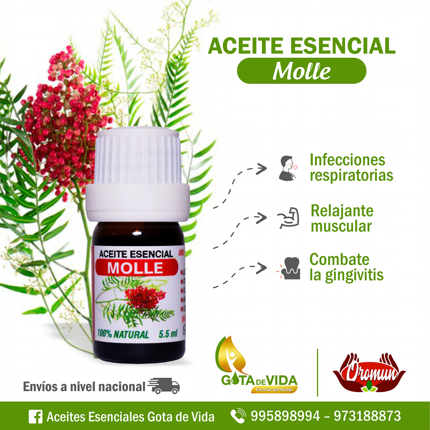 Aceite Molle