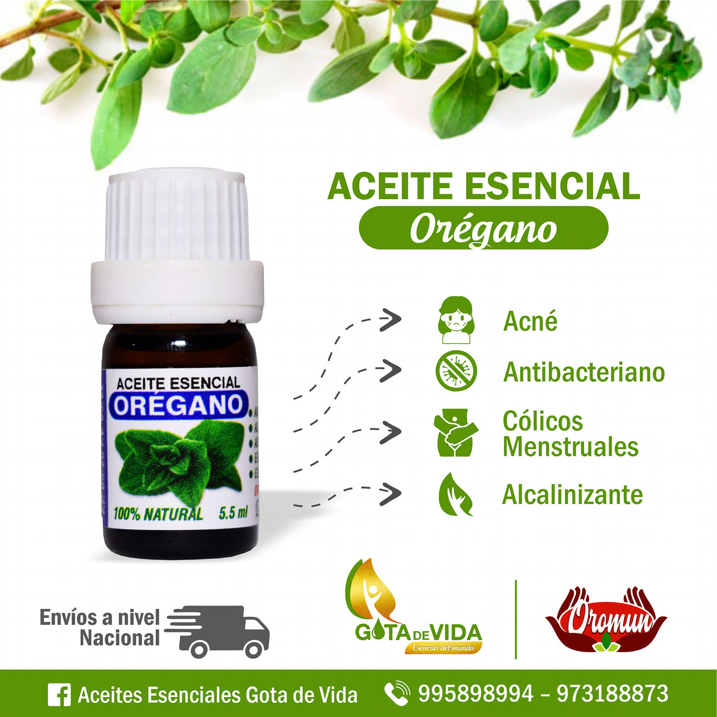 Aceite Oregano